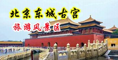 羞羞答答青苹果中国北京-东城古宫旅游风景区